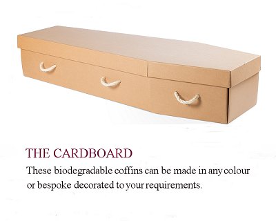 Cardboard coffin